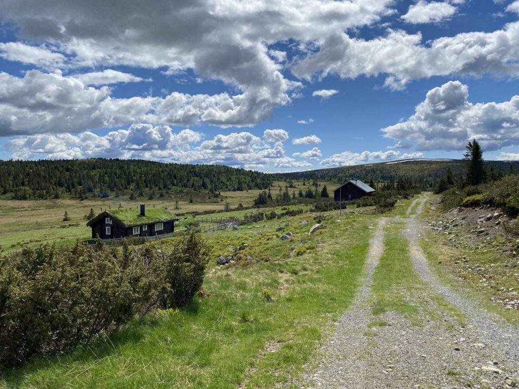 Tur til Steinvikfjellet 1